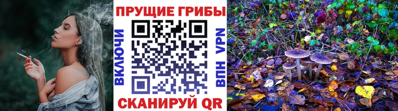 Галлюциногенные грибы прущие грибы Заозёрск